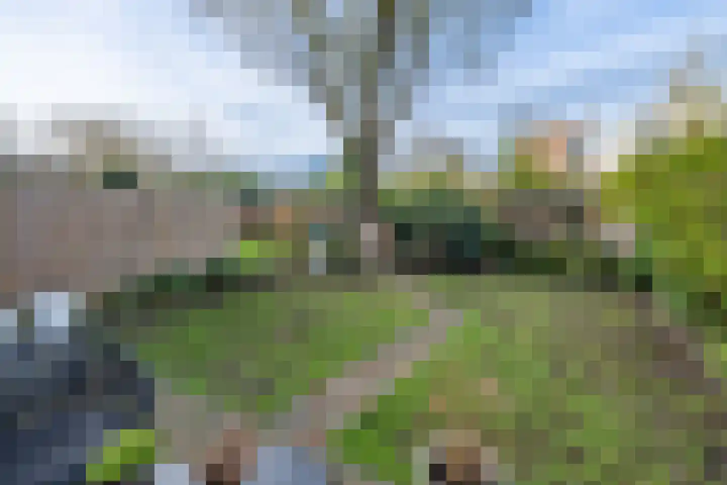 de Engh 5 Driebergen-Rijsenburg thumbnail 22