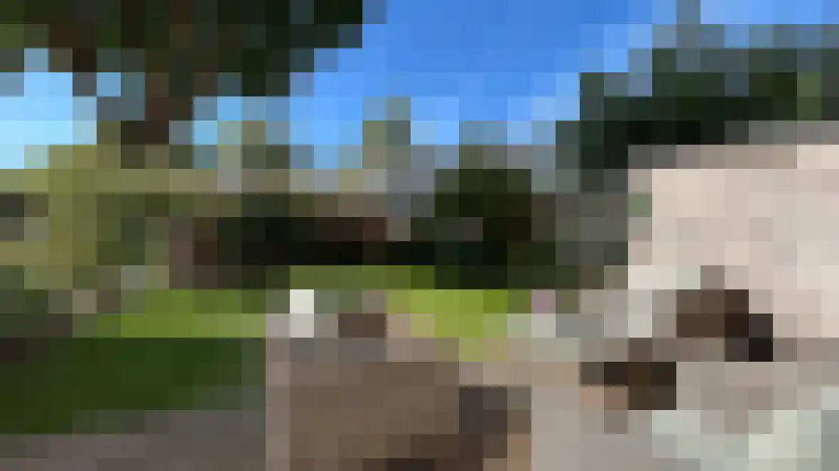 de Engh 5 Driebergen-Rijsenburg thumbnail 24
