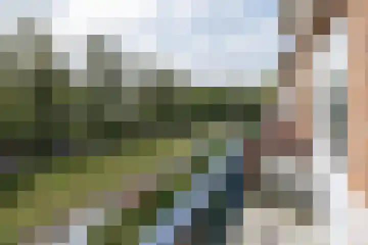 de Engh 9 III Driebergen-Rijsenburg thumbnail 13