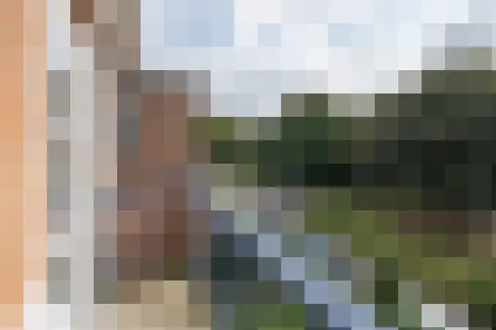 de Engh 9 III Driebergen-Rijsenburg thumbnail 14
