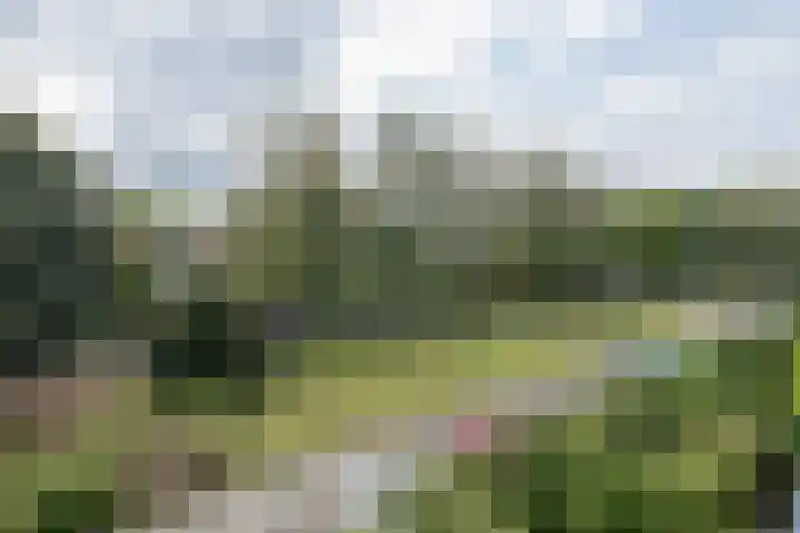de Engh 9 III Driebergen-Rijsenburg thumbnail 15