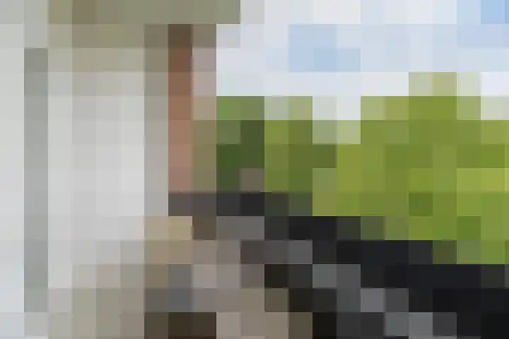 de Engh 9 III Driebergen-Rijsenburg thumbnail 20