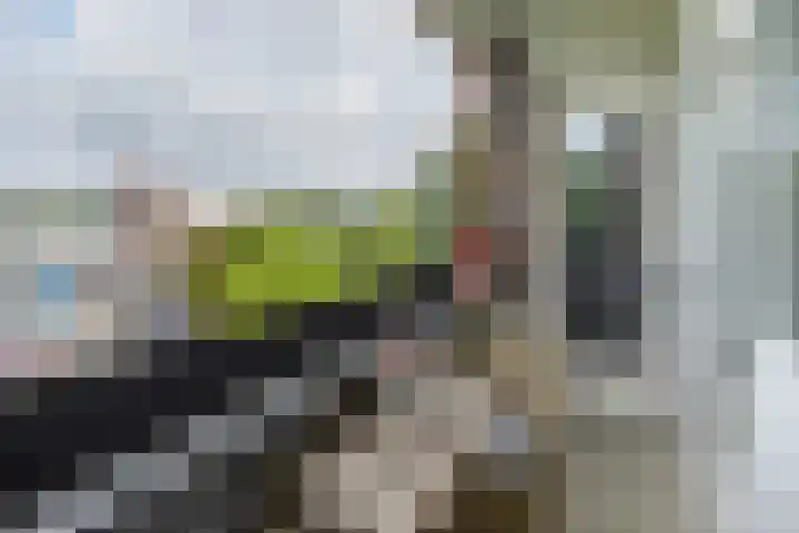de Engh 9 III Driebergen-Rijsenburg thumbnail 21