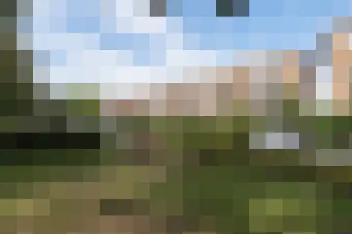 de Engh 9 III Driebergen-Rijsenburg thumbnail 36