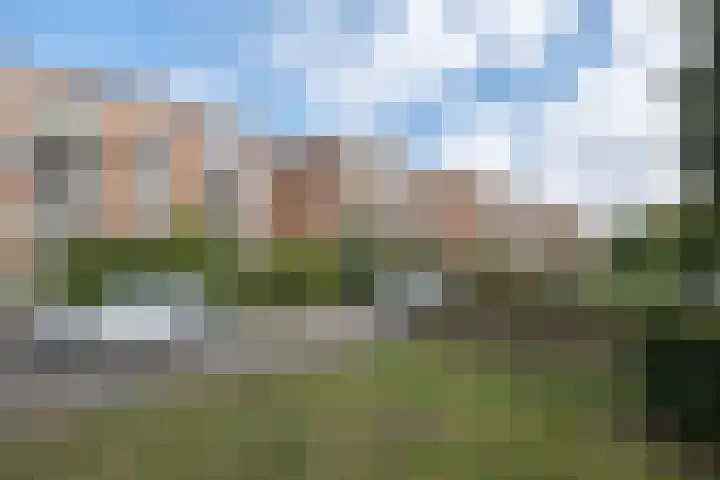 de Engh 9 III Driebergen-Rijsenburg thumbnail 37