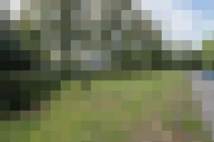 de Engh 9 III Driebergen-Rijsenburg thumbnail 38