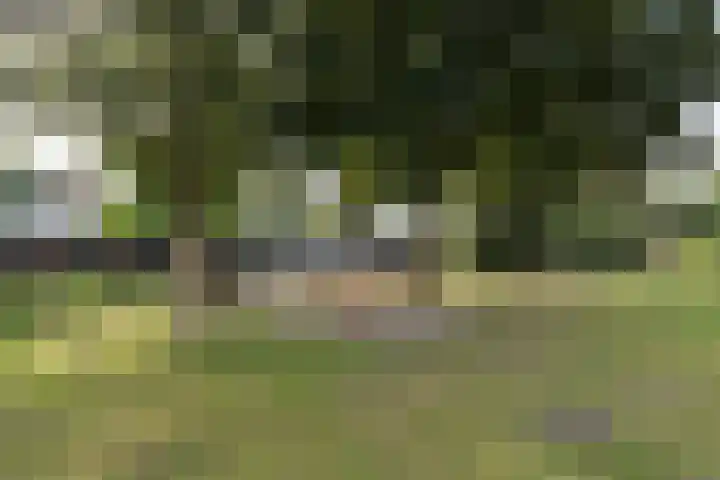 de Engh 9 III Driebergen-Rijsenburg thumbnail 39