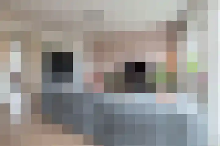 de Engh 9 III Driebergen-Rijsenburg thumbnail 6