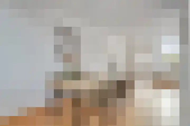 De Enk 23 Ermelo thumbnail 15