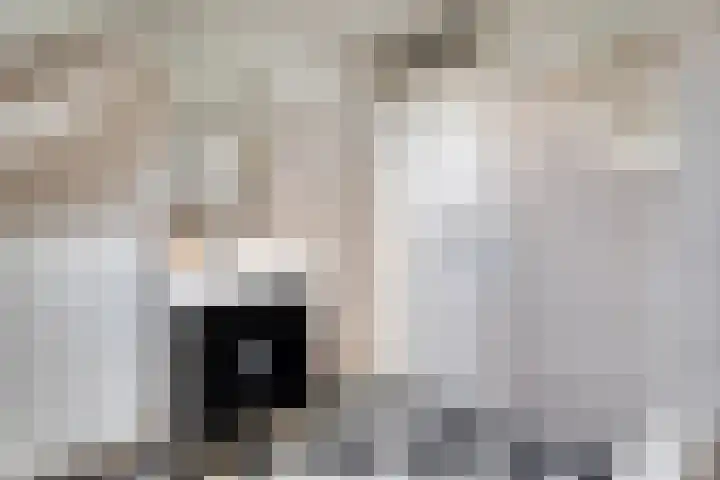 De Enk 23 Ermelo thumbnail 27