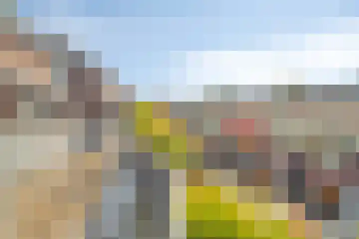 De Enk 23 Ermelo thumbnail 34