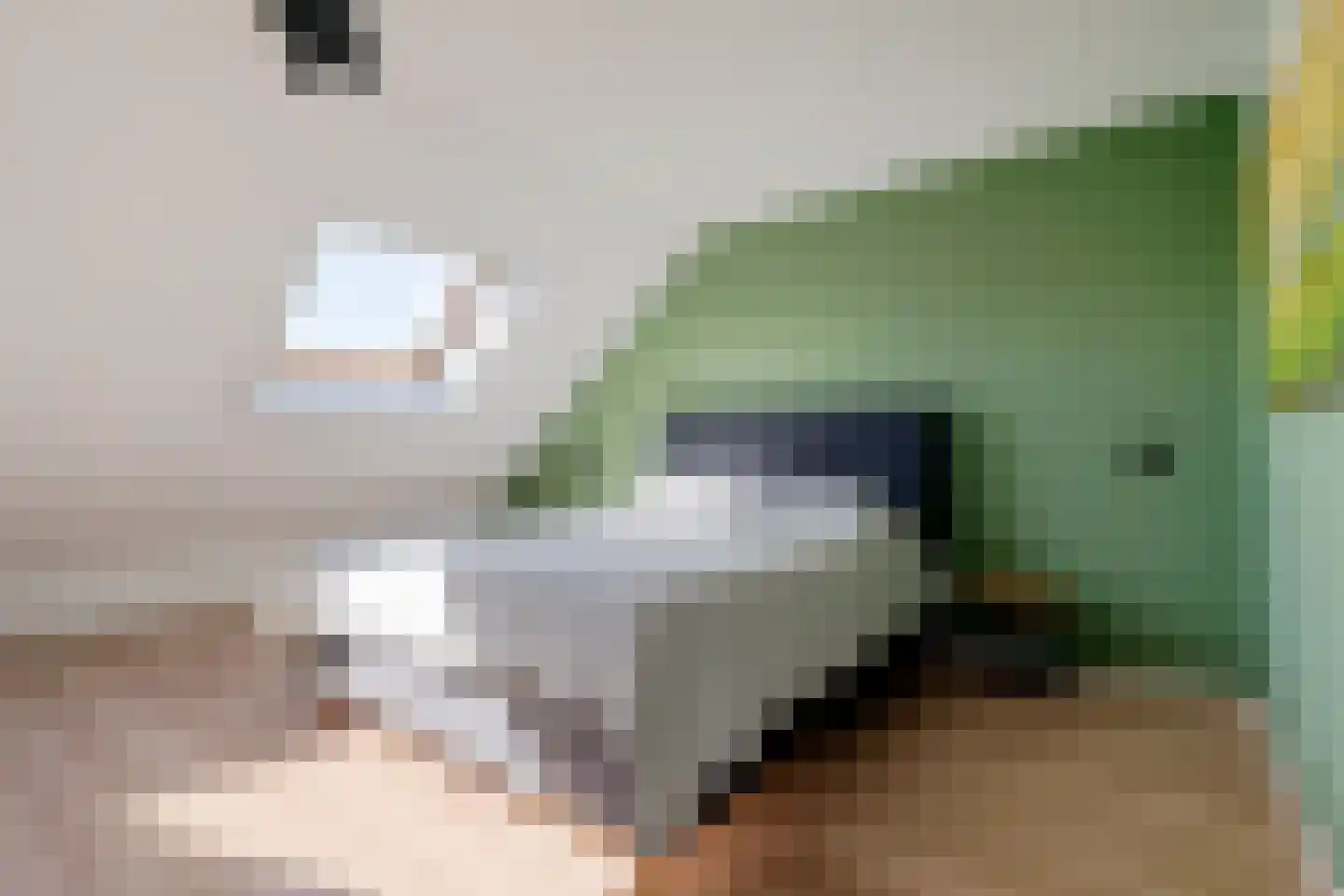 De Enk 48 Ermelo thumbnail 27