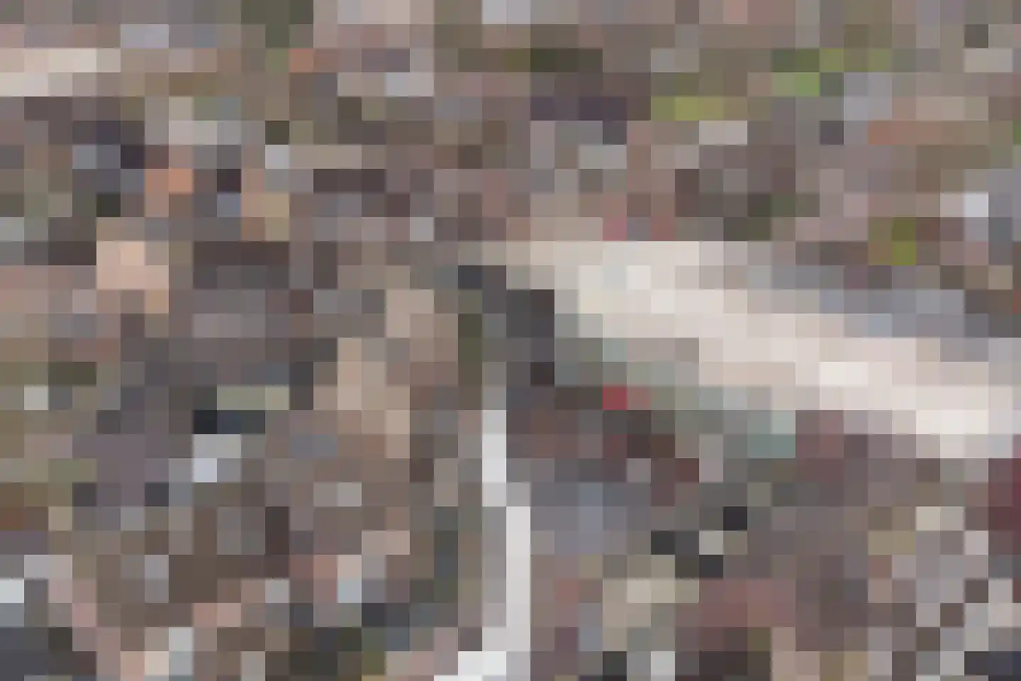 De Enk 48 Ermelo thumbnail 39