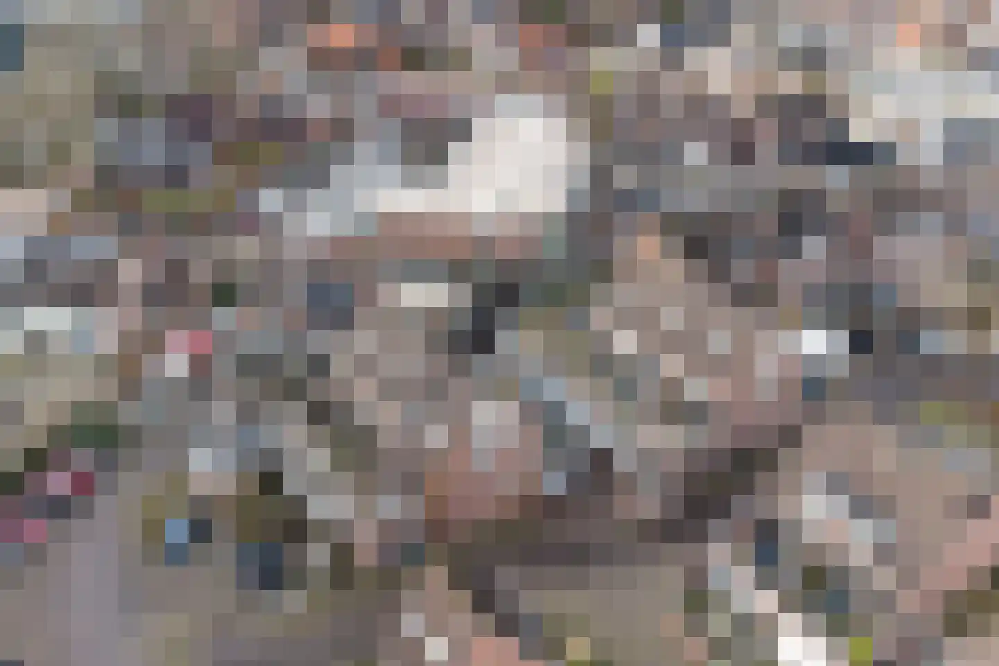 De Enk 48 Ermelo thumbnail 40