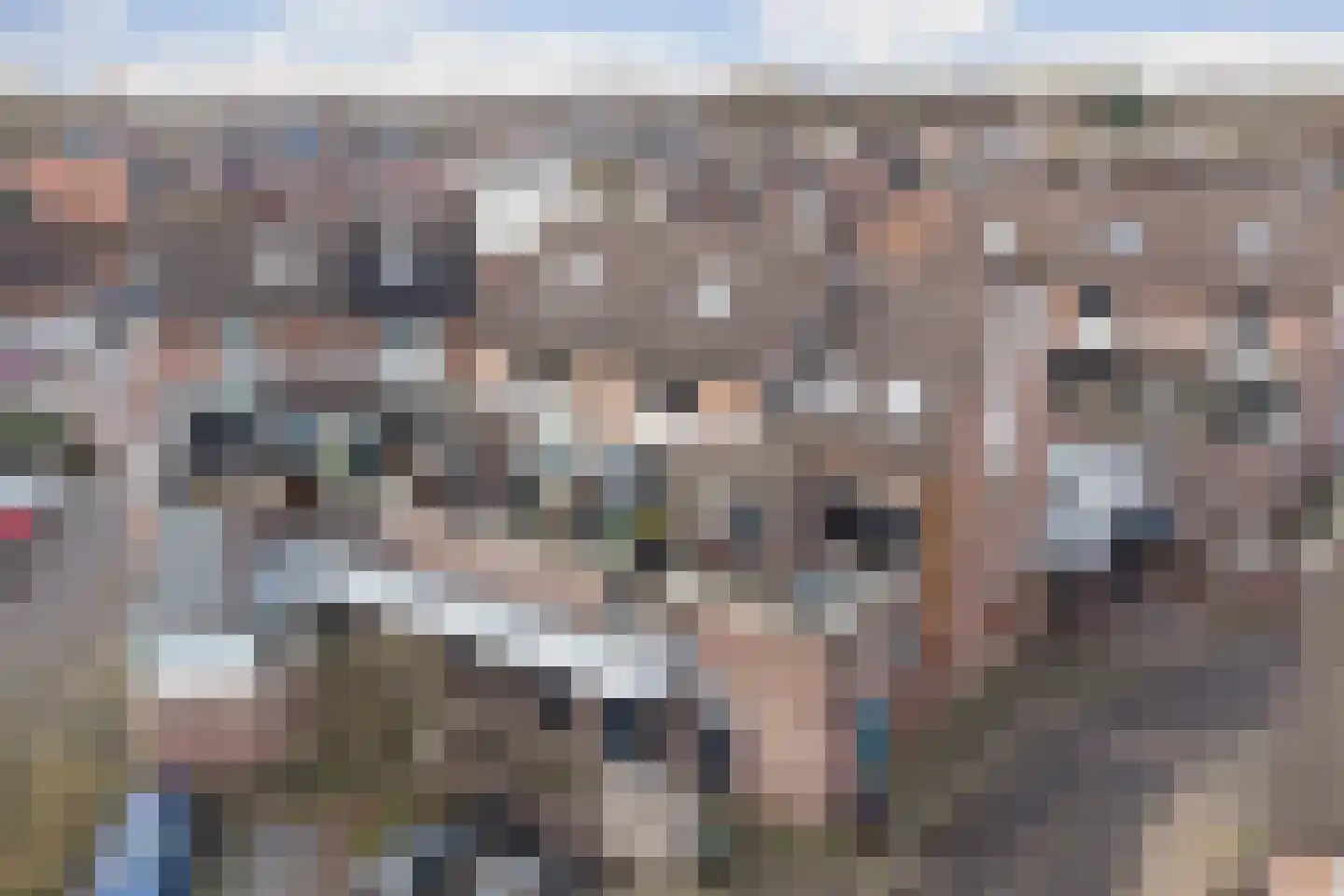 De Enk 48 Ermelo thumbnail 43
