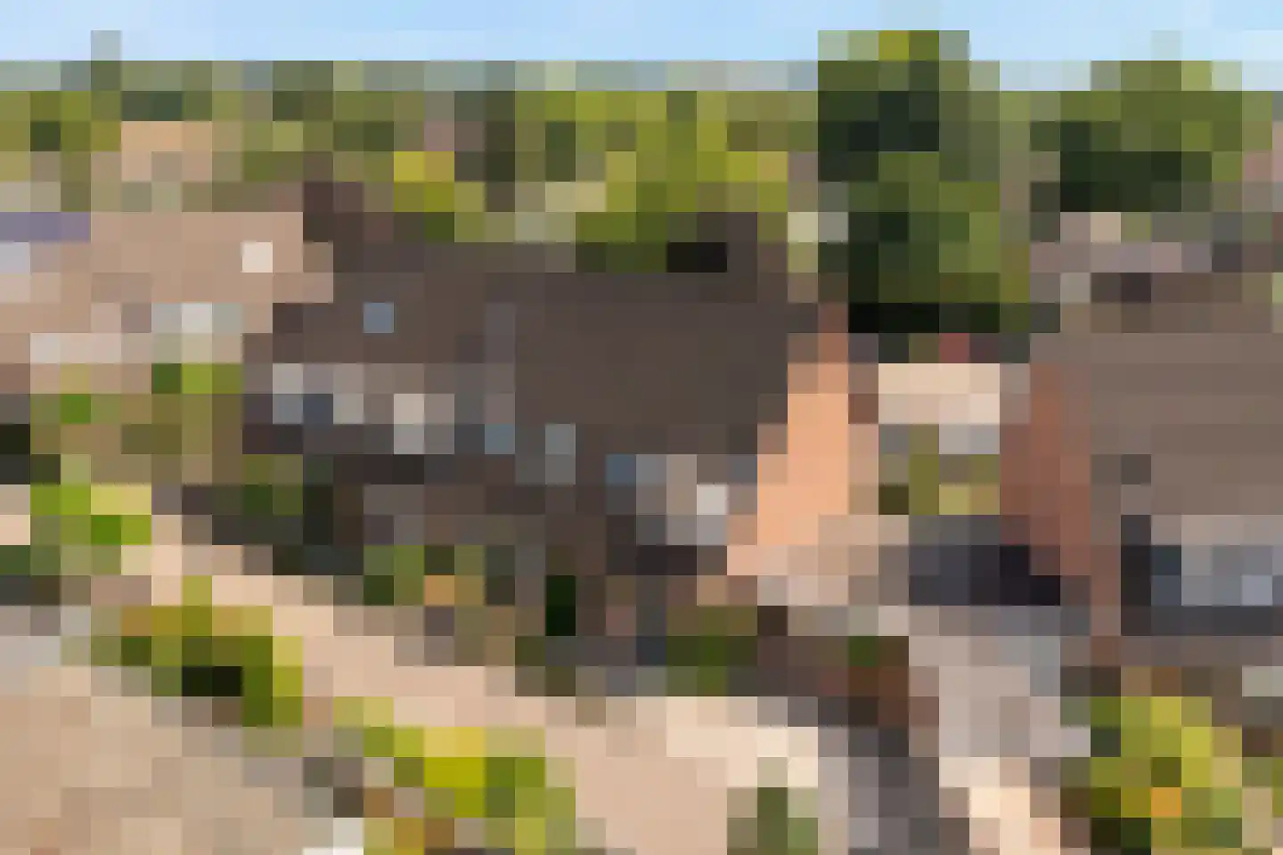 De Enk 54 Ermelo thumbnail 42