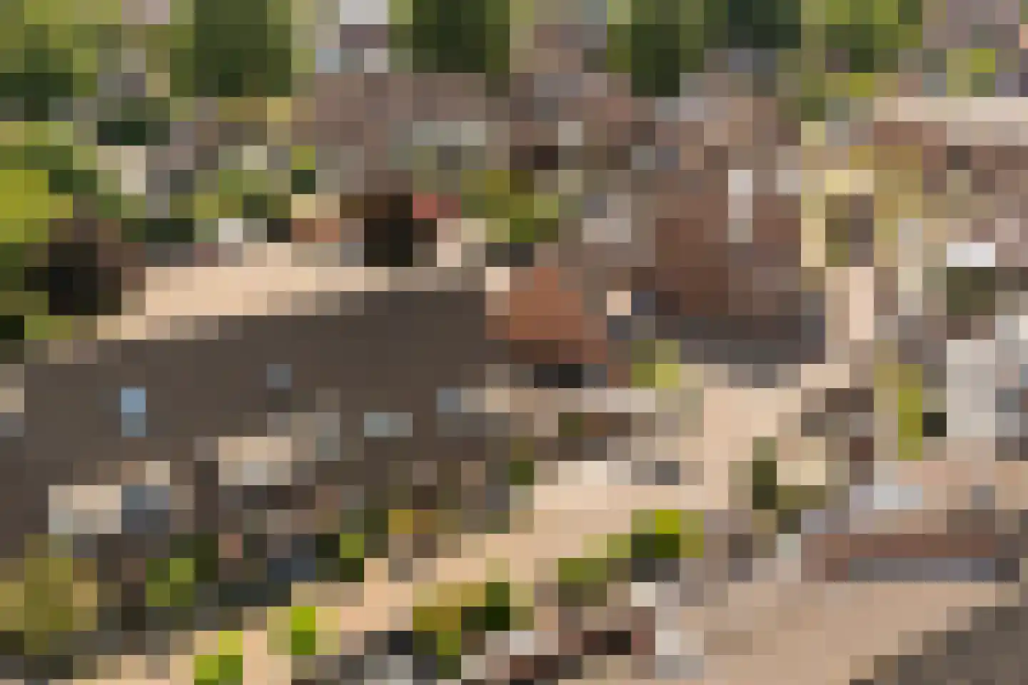 De Enk 54 Ermelo thumbnail 43