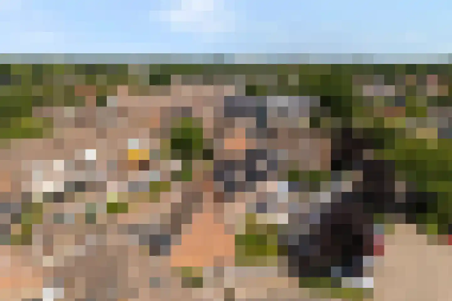 De Enk 54 Ermelo thumbnail 45