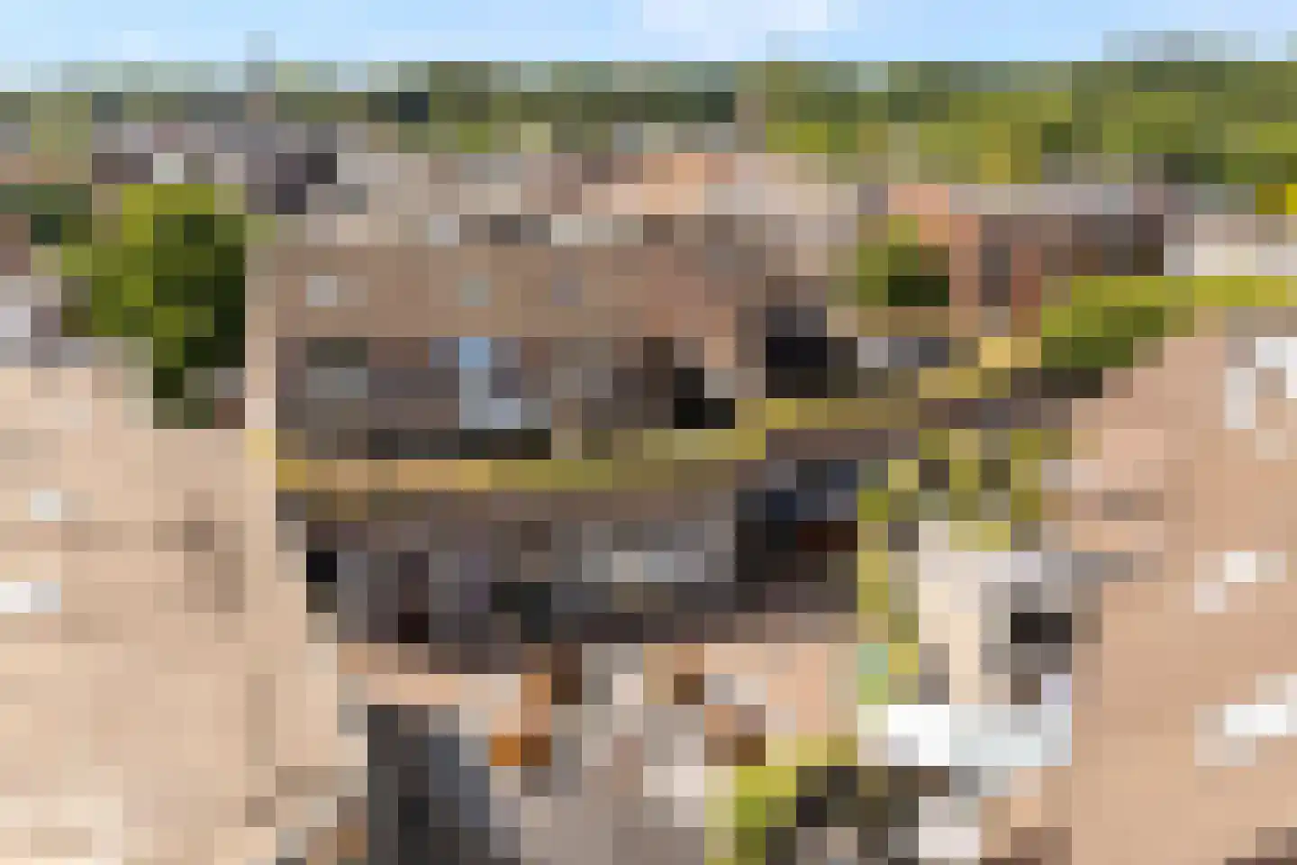 De Enk 54 Ermelo thumbnail 46