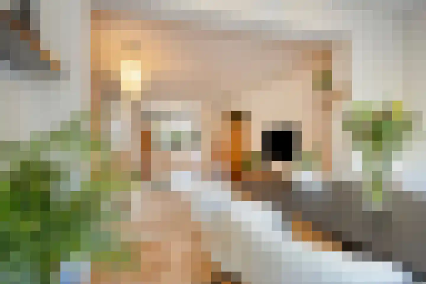 De Enk 7 Malden thumbnail 5