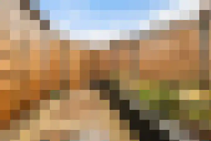 De Enk 70 Ermelo thumbnail 28