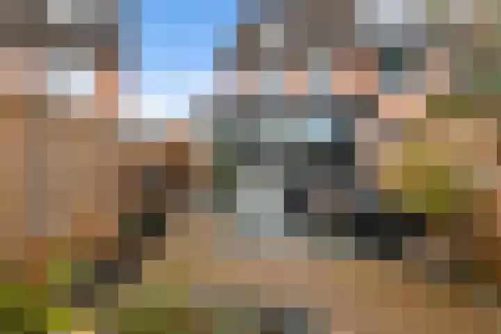 De Enk 70 Ermelo thumbnail 29