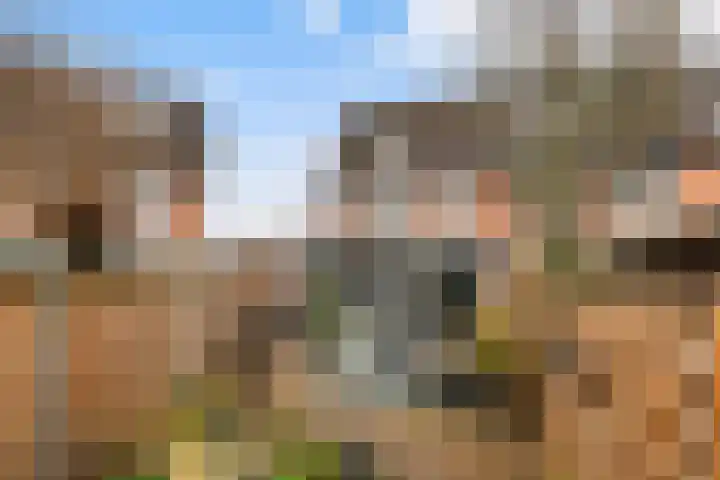 De Enk 70 Ermelo thumbnail 30