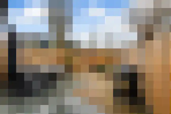 De Enk 70 Ermelo thumbnail 33