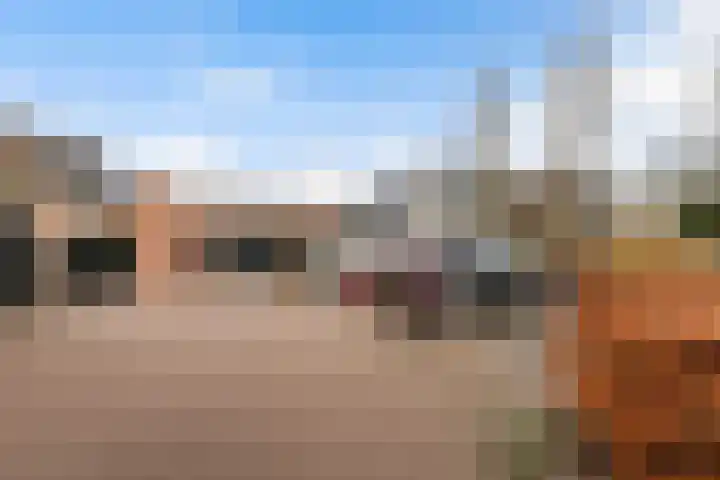 De Enk 70 Ermelo thumbnail 36