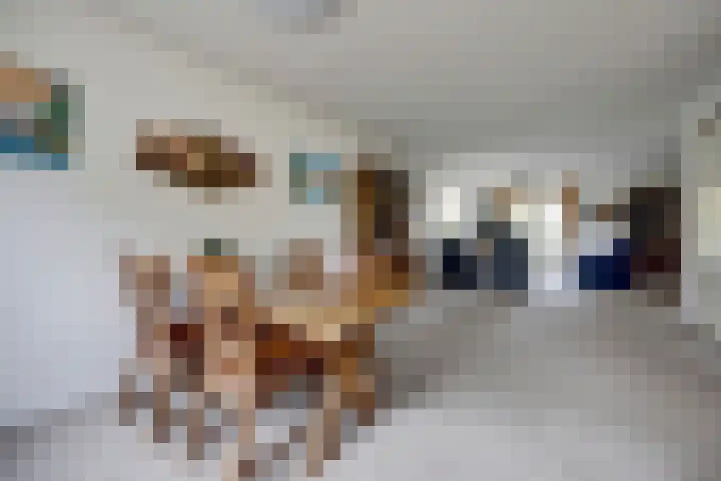 de Enk 8 Marknesse thumbnail 15
