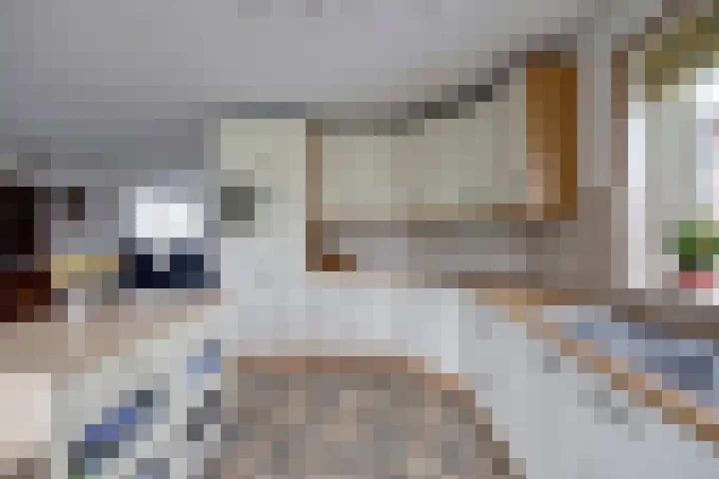 de Enk 8 Marknesse thumbnail 19