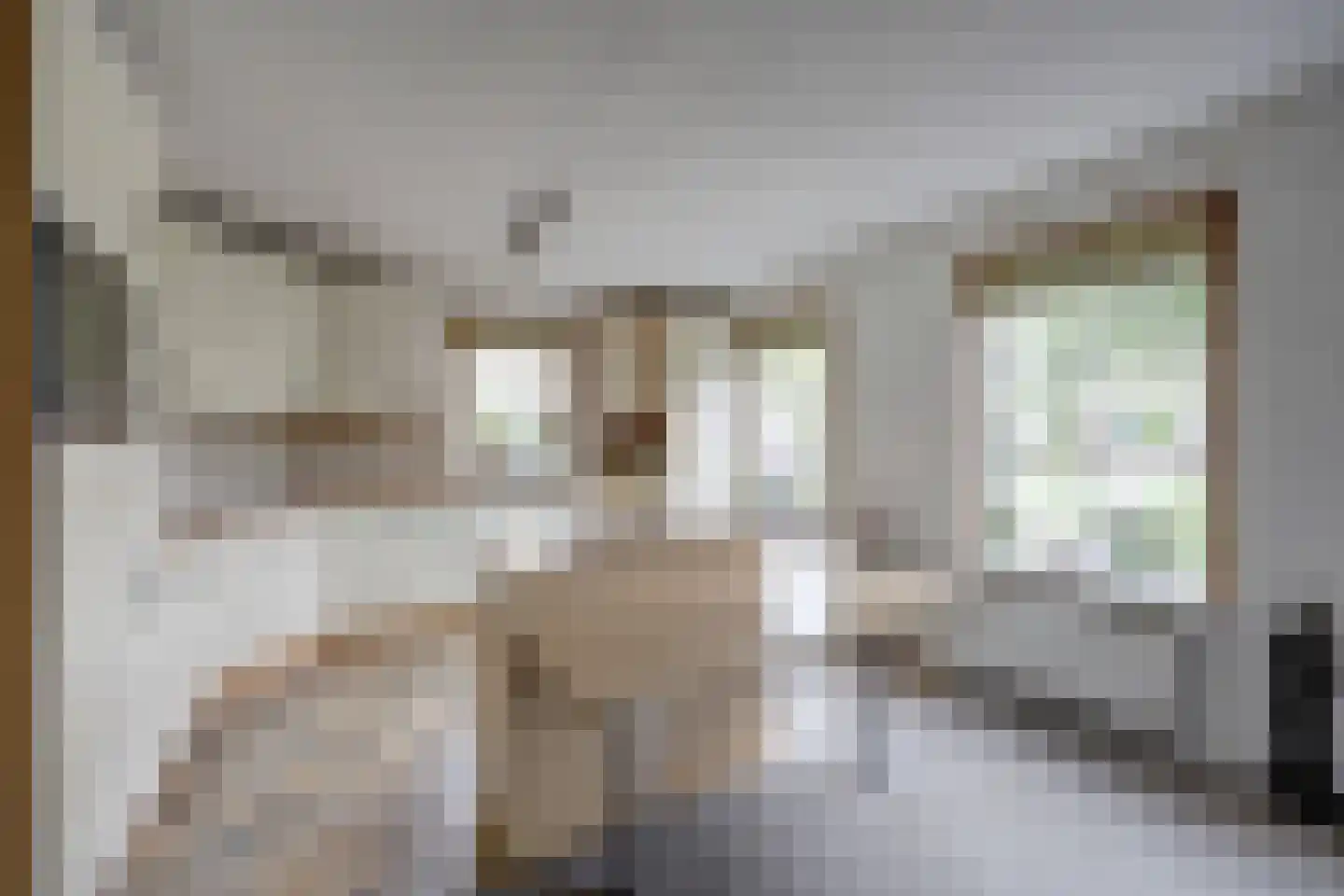 de Enk 8 Marknesse thumbnail 22