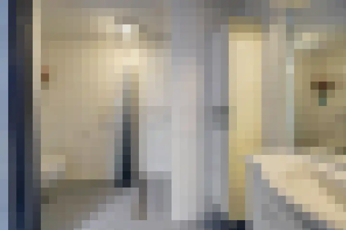 de Enk 8 Marknesse thumbnail 28