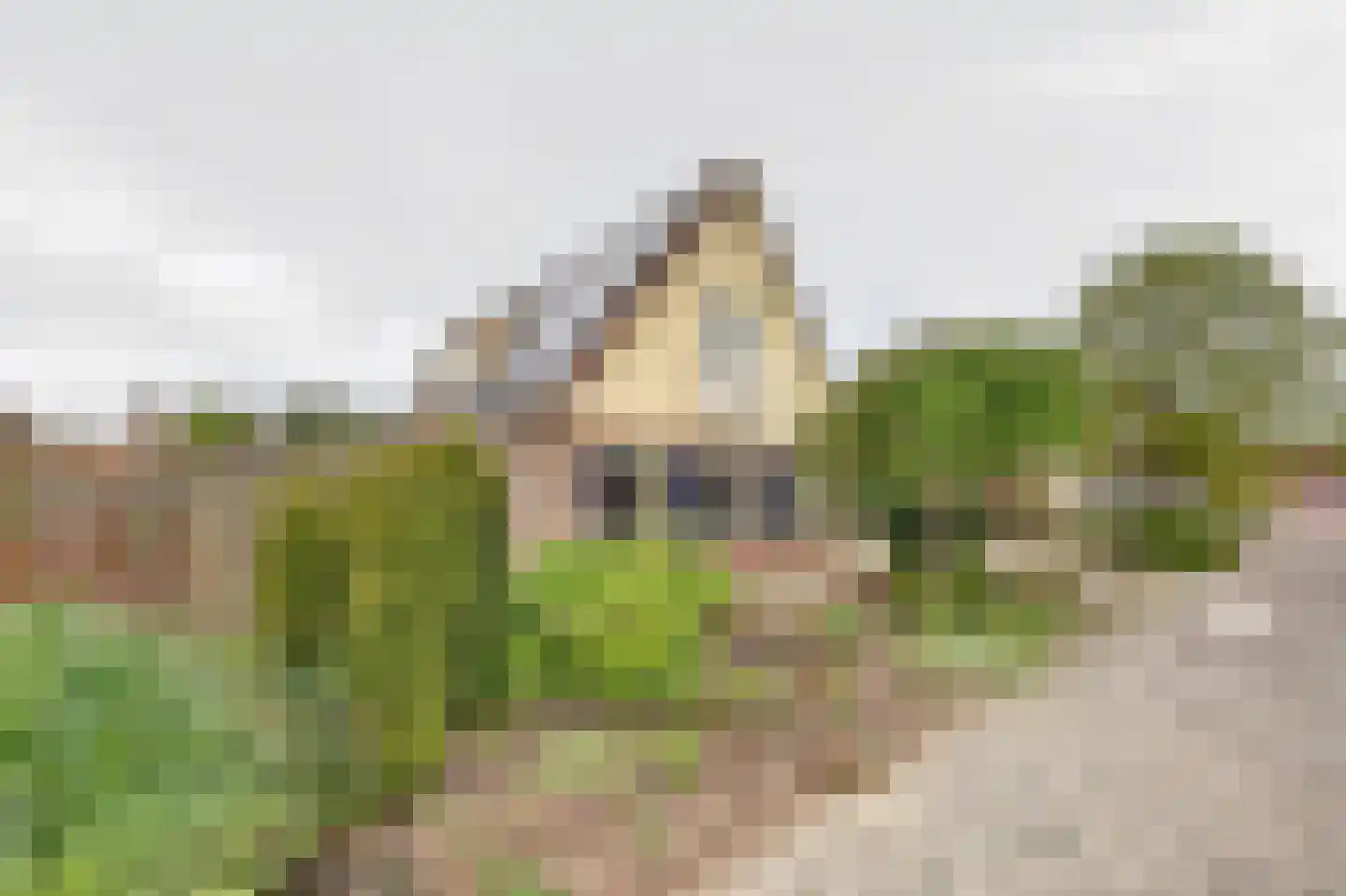 de Enk 8 Marknesse thumbnail 4