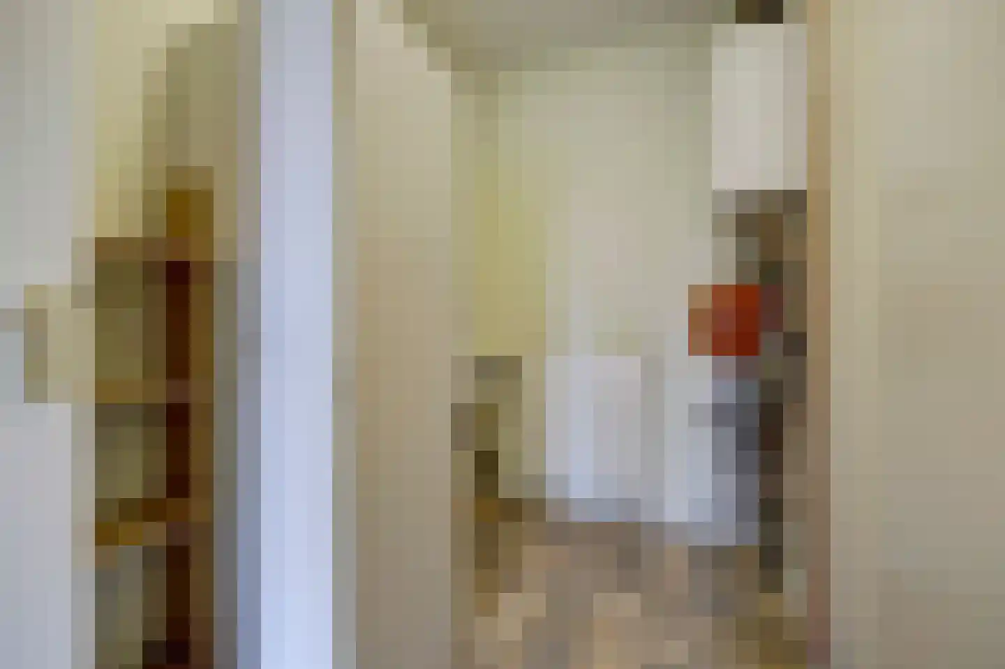 de Enk 8 Marknesse thumbnail 43