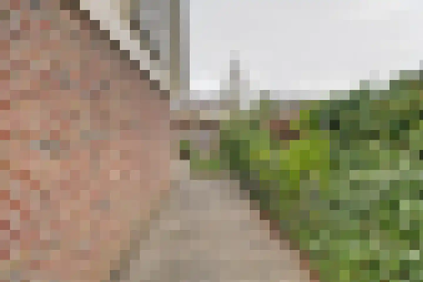 de Enk 8 Marknesse thumbnail 45