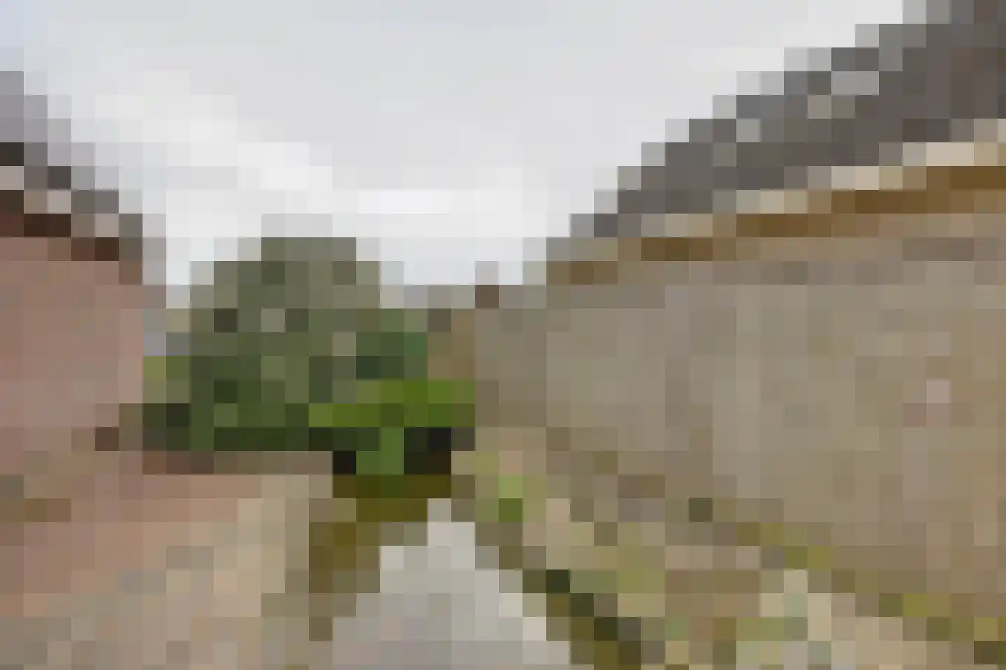 de Enk 8 Marknesse thumbnail 47