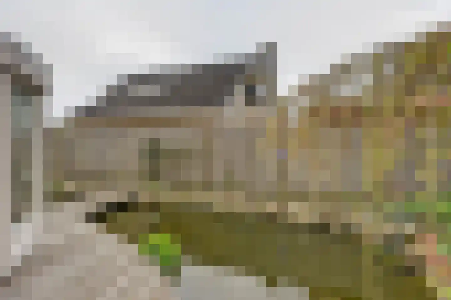 de Enk 8 Marknesse thumbnail 48