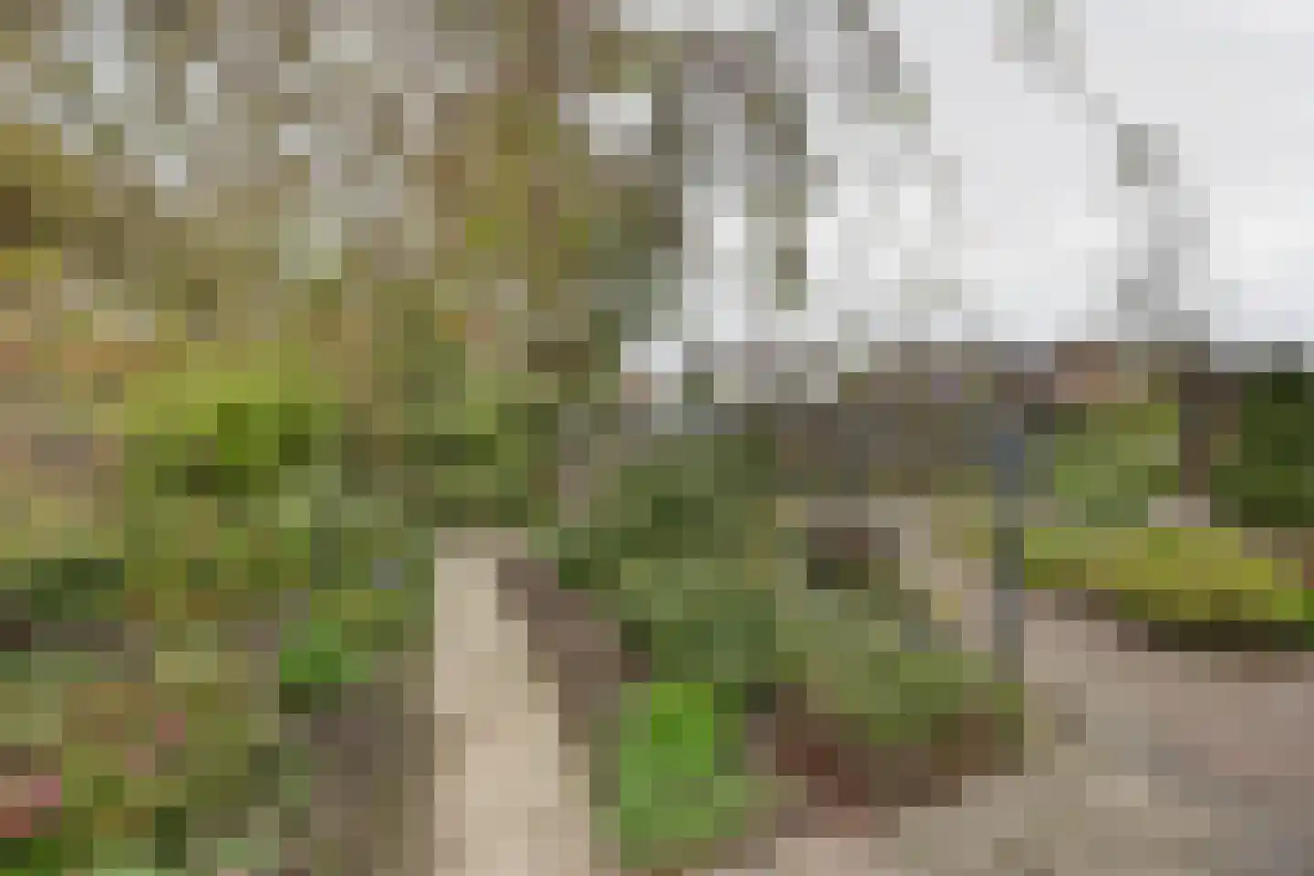 de Enk 8 Marknesse thumbnail 49