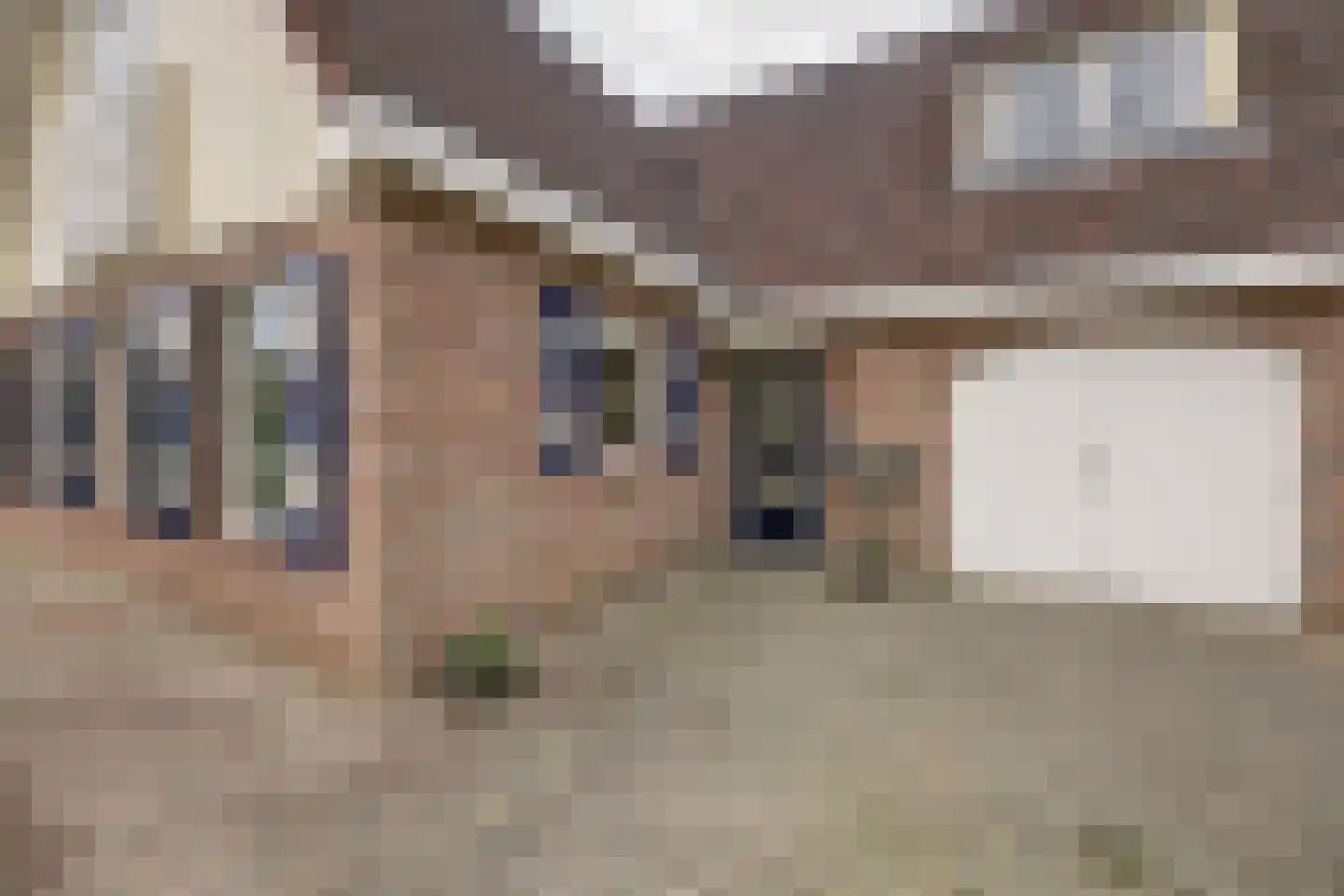 de Enk 8 Marknesse thumbnail 5