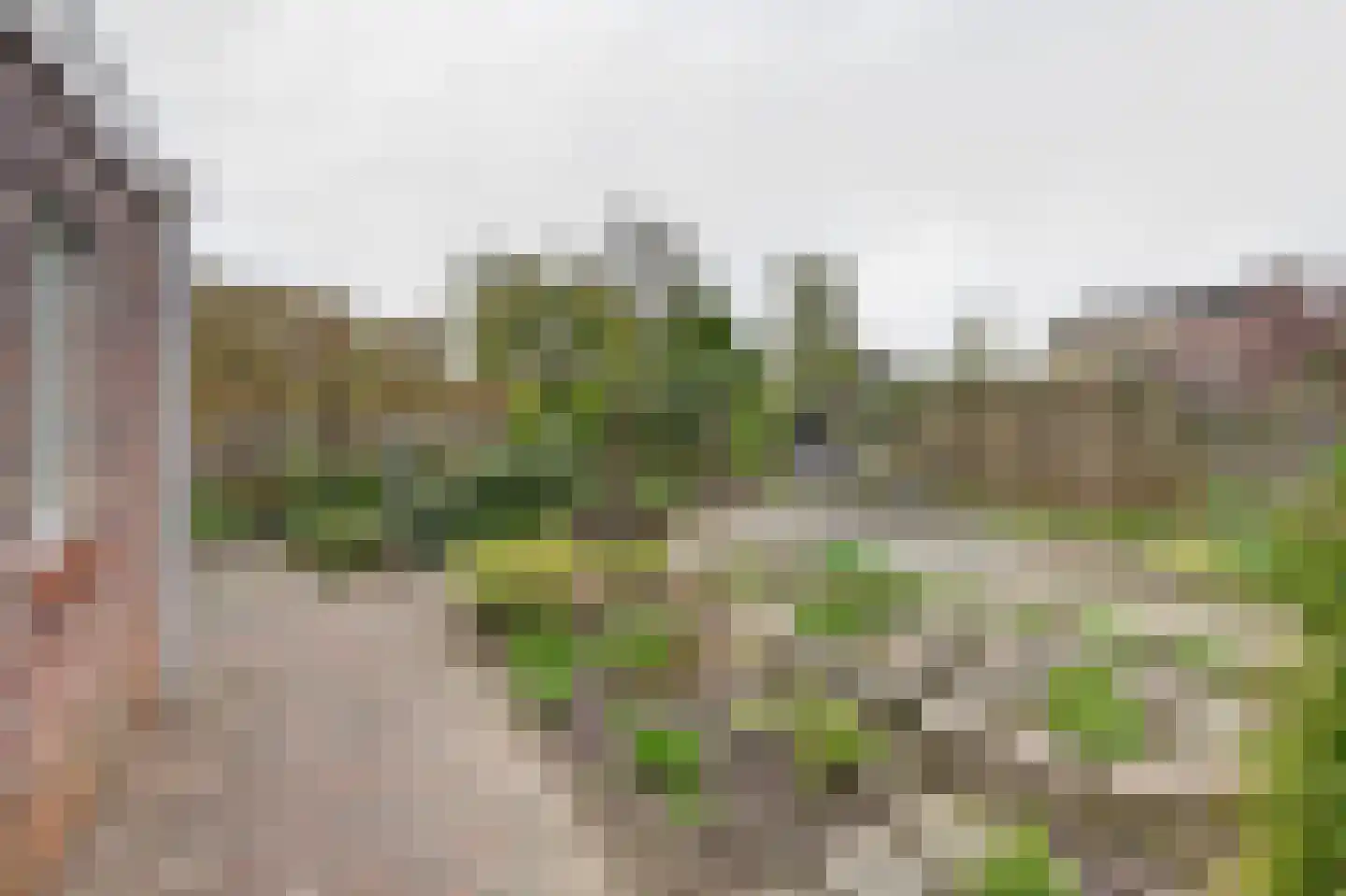 de Enk 8 Marknesse thumbnail 50