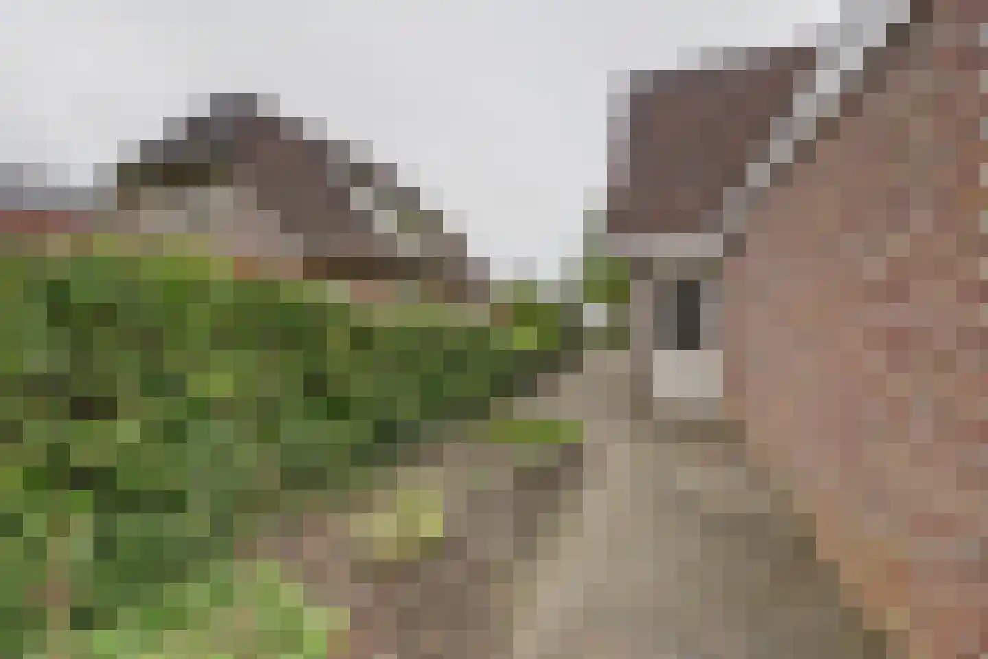de Enk 8 Marknesse thumbnail 51