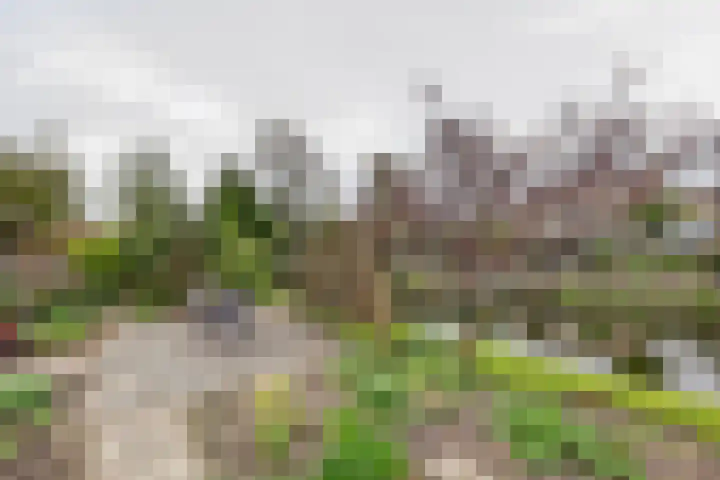 de Enk 8 Marknesse thumbnail 52
