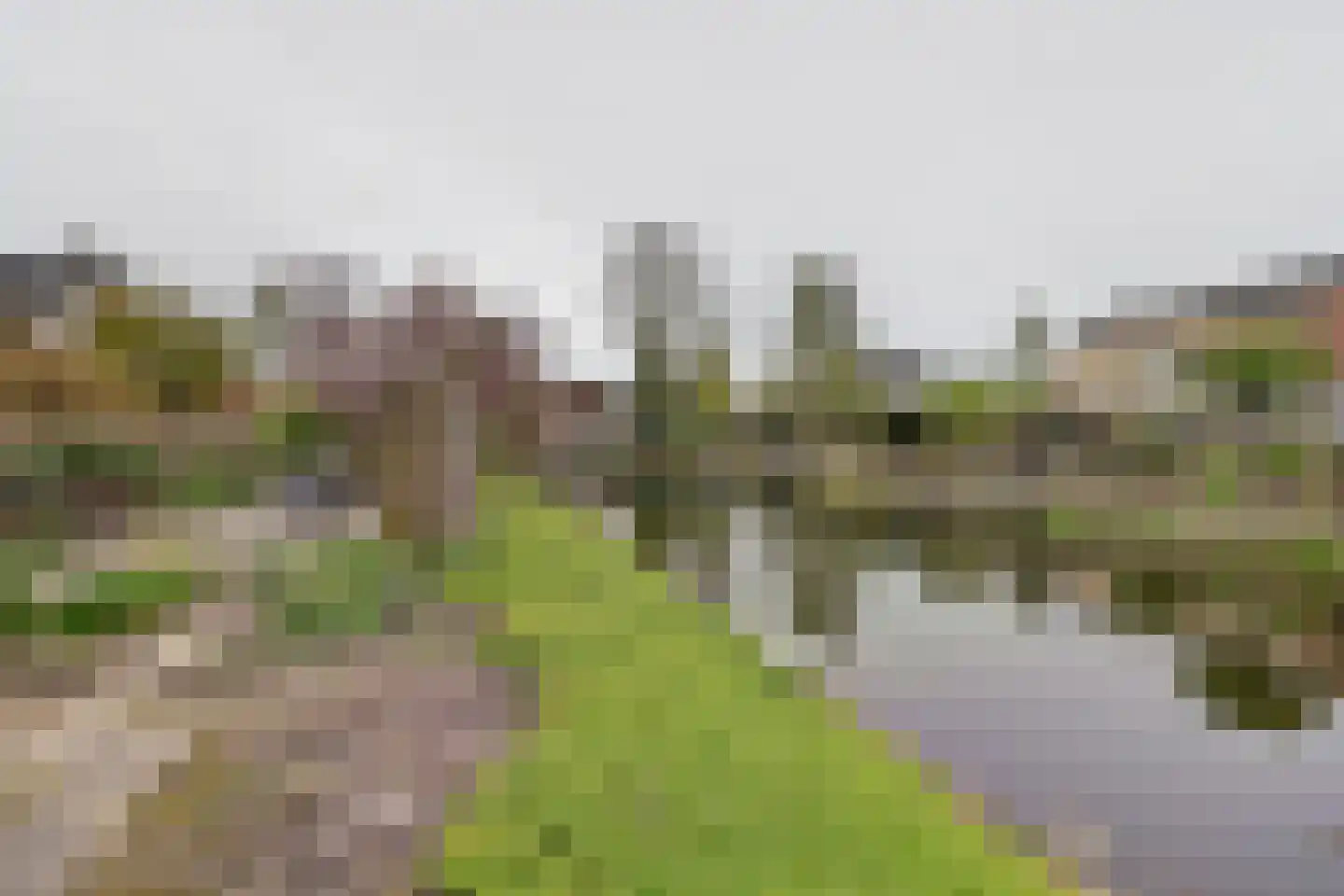 de Enk 8 Marknesse thumbnail 53