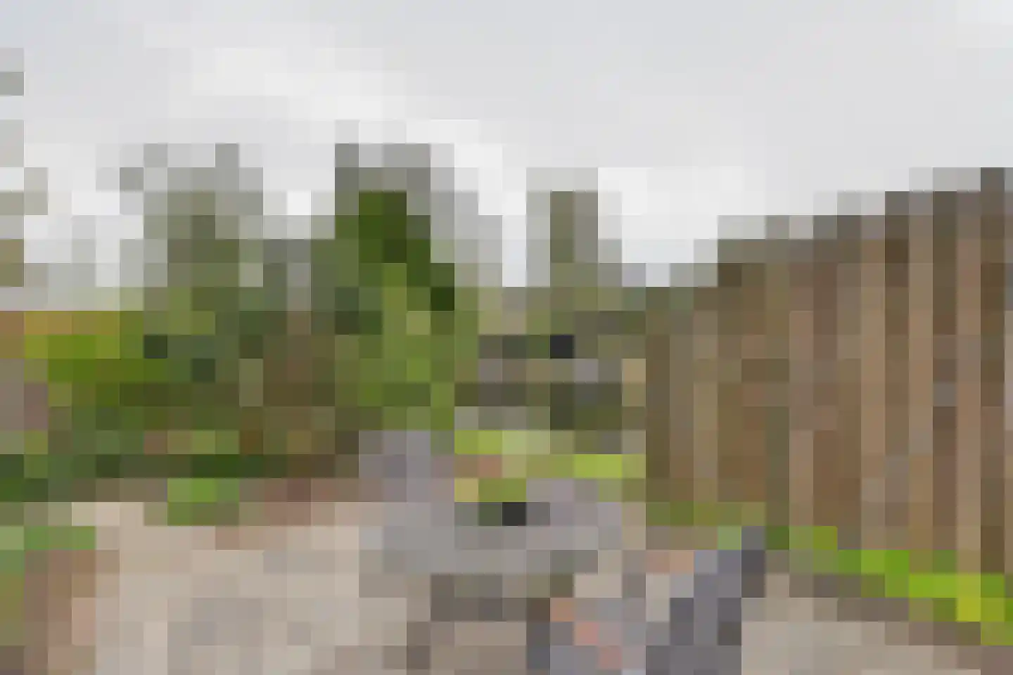 de Enk 8 Marknesse thumbnail 55