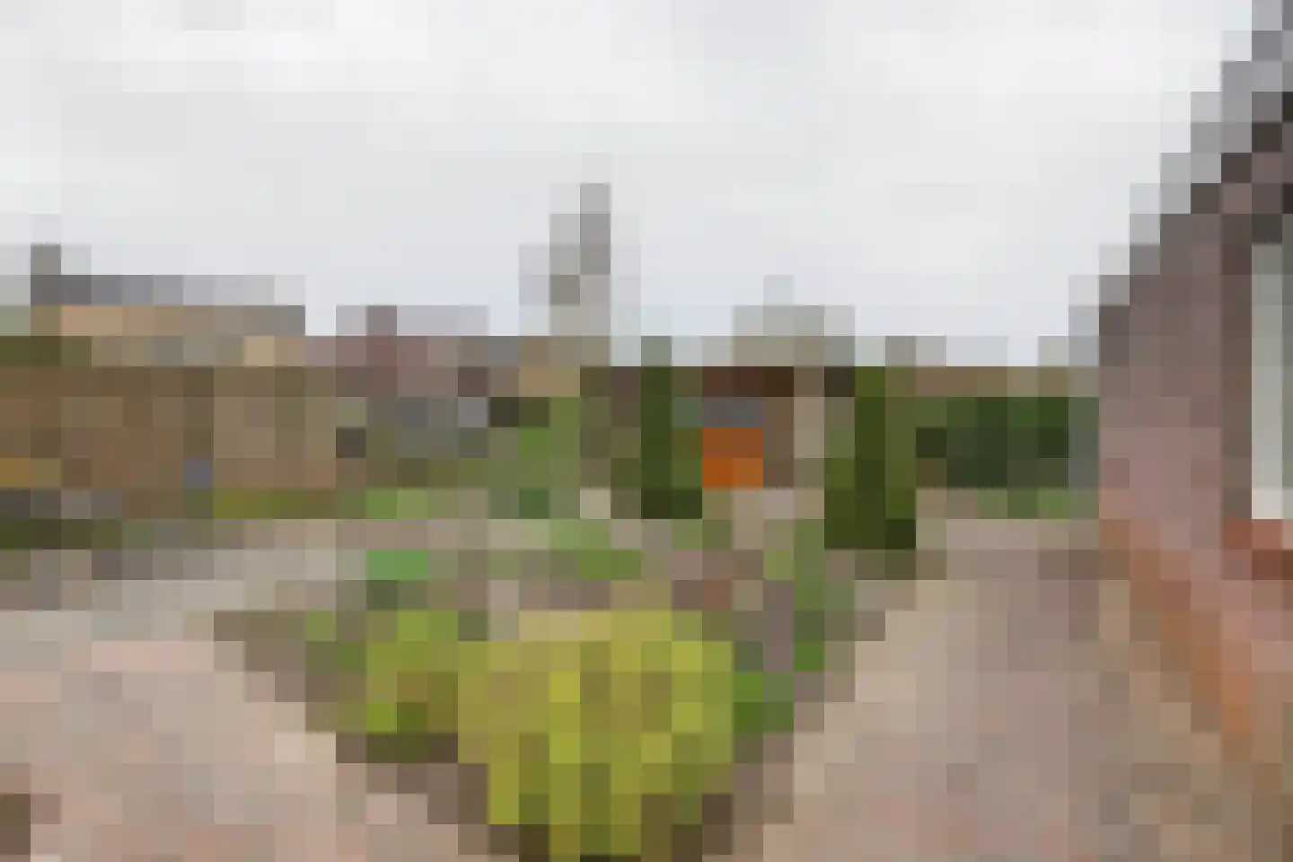 de Enk 8 Marknesse thumbnail 58