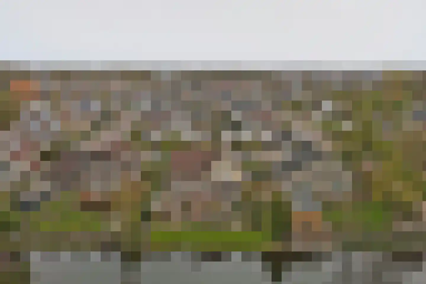 de Enk 8 Marknesse thumbnail 60