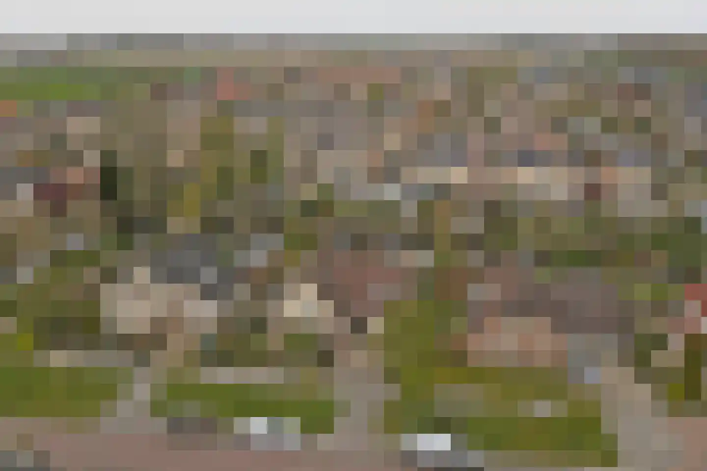 de Enk 8 Marknesse thumbnail 61