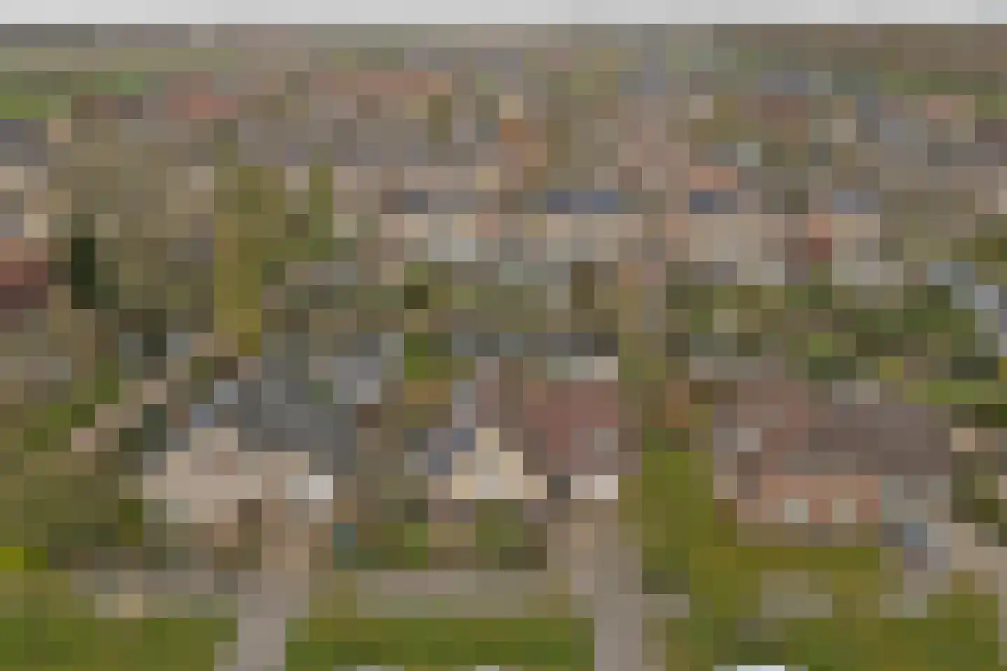 de Enk 8 Marknesse thumbnail 62