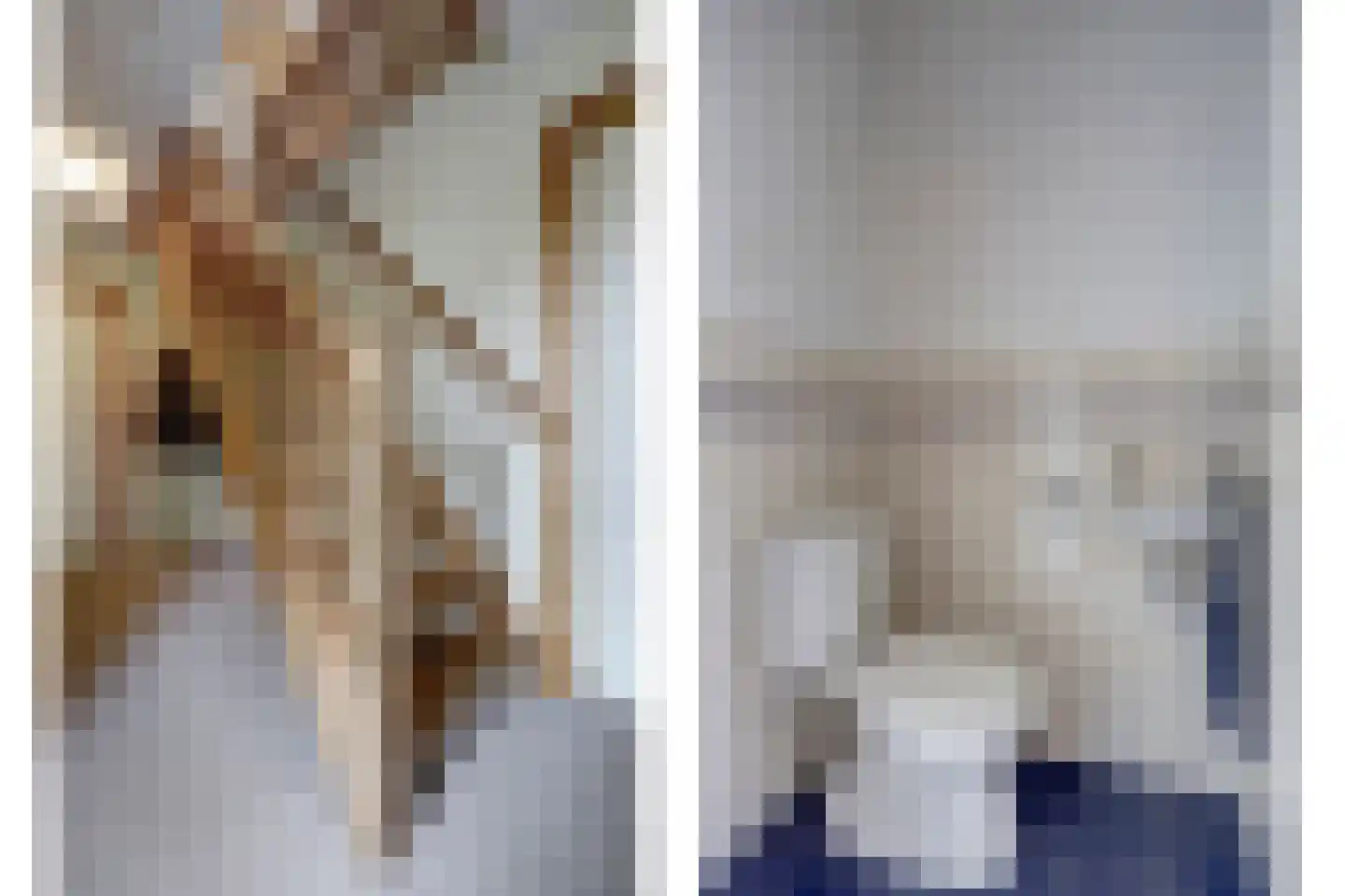 de Enk 8 Marknesse thumbnail 8